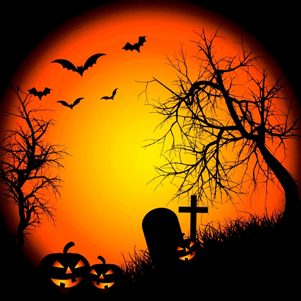 Meet your Posher, Pumpkin